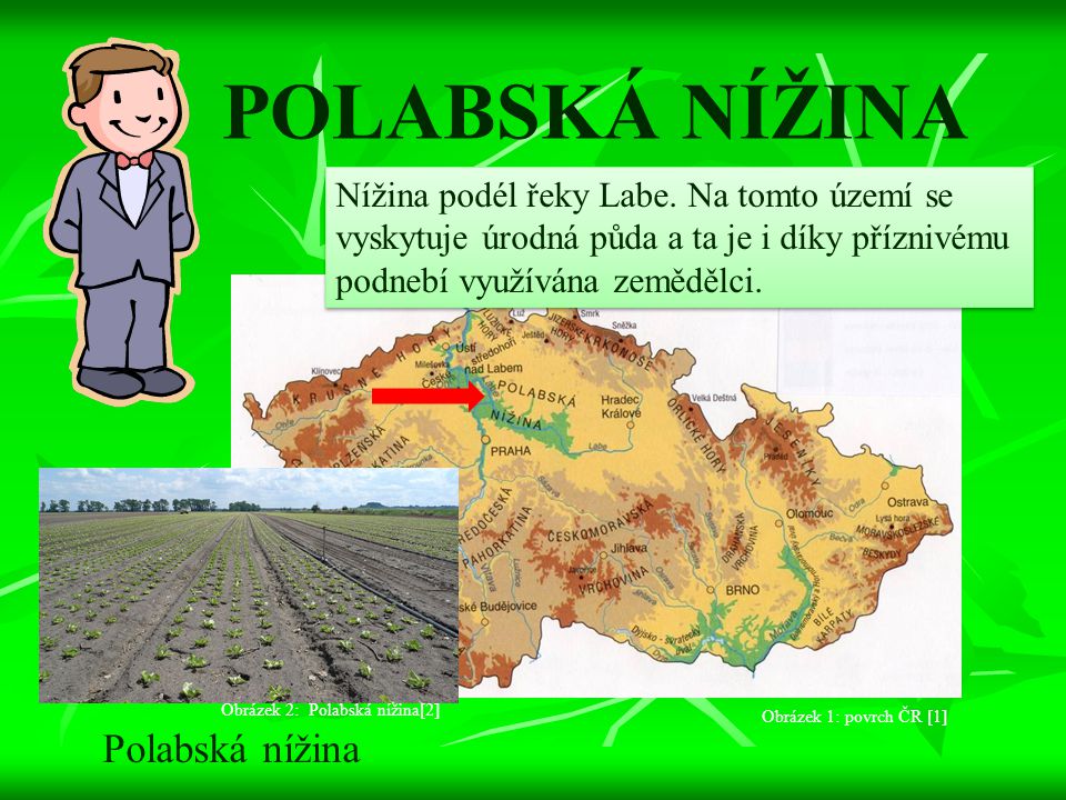 POLABSKÁ NÍŽINA Polabská nížina