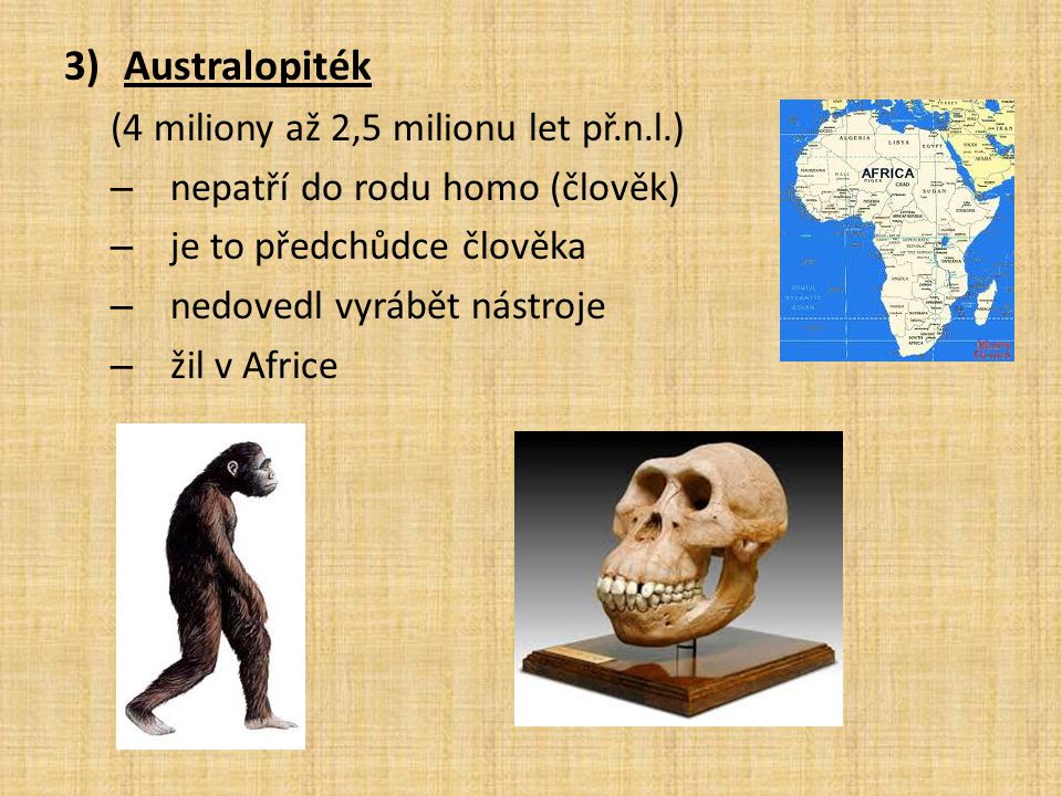 Australopiték (4 miliony až 2,5 milionu let př.n.l.)