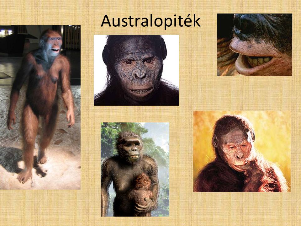 Australopiték