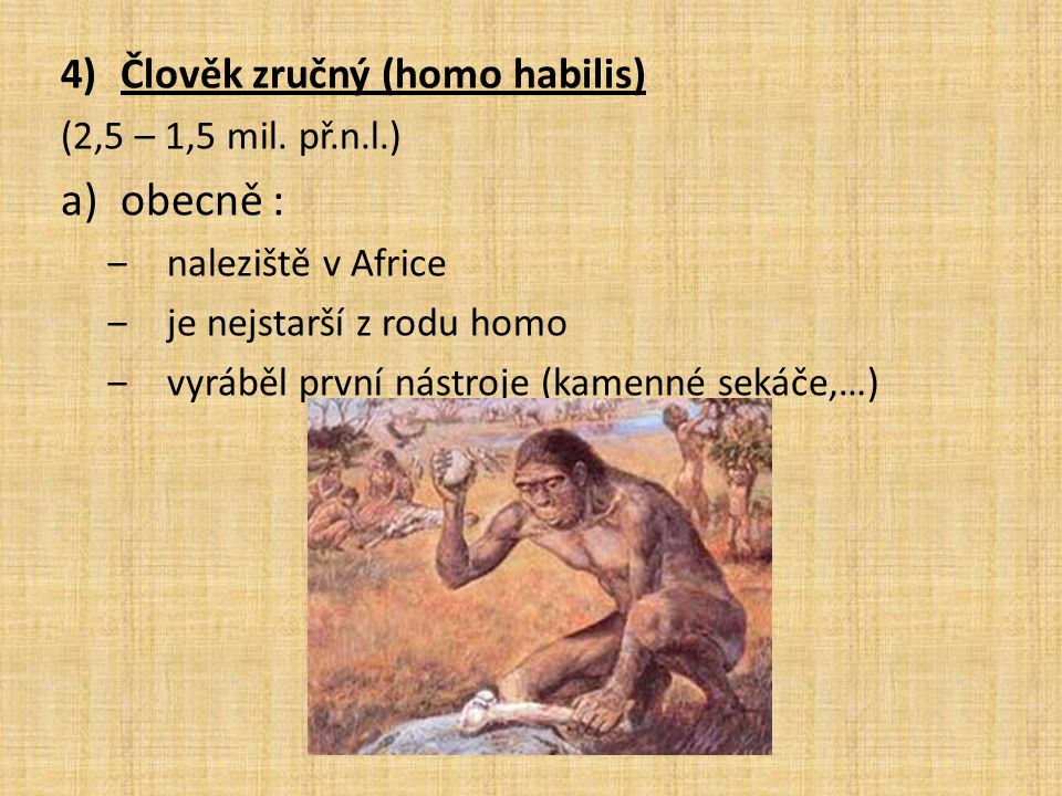 obecně : Člověk zručný (homo habilis) (2,5 – 1,5 mil. př.n.l.)