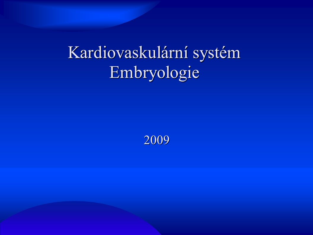 Kardiovaskulární systém Embryologie