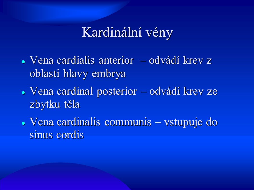 Kardinální vény Vena cardialis anterior – odvádí krev z oblasti hlavy embrya. Vena cardinal posterior – odvádí krev ze zbytku těla.