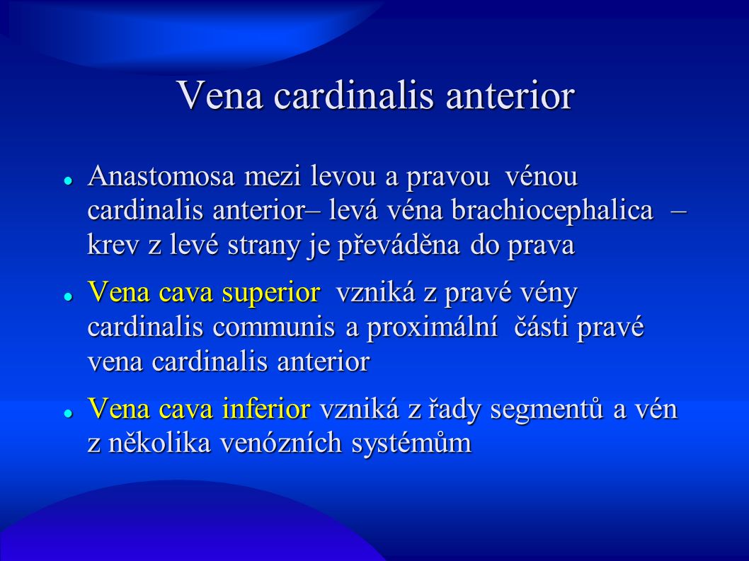 Vena cardinalis anterior