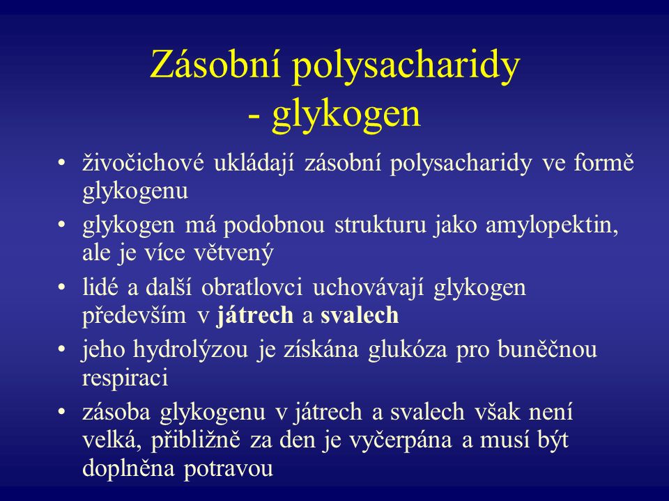 Zásobní polysacharidy - glykogen