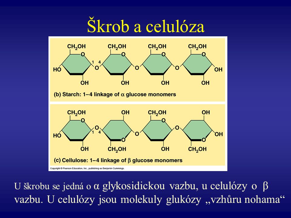 Škrob a celulóza U škrobu se jedná o α glykosidickou vazbu, u celulózy o β vazbu.