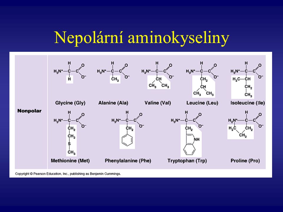 Nepolární aminokyseliny