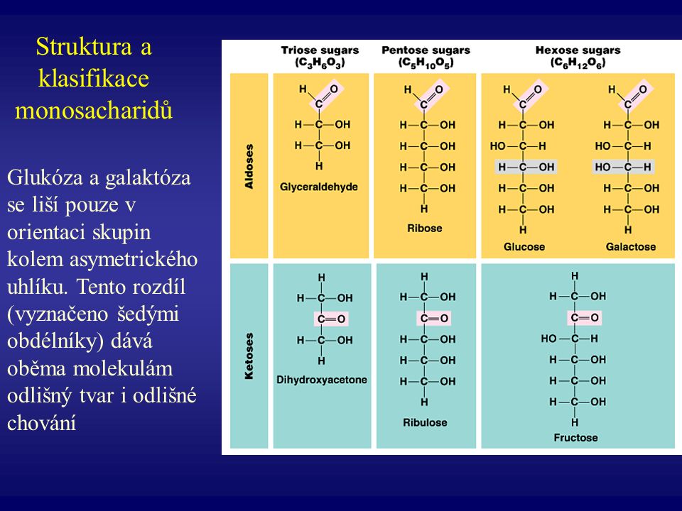 Struktura a klasifikace monosacharidů