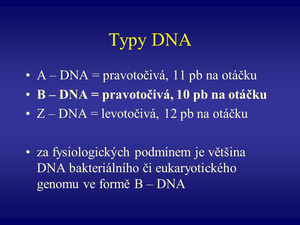 Typy DNA A – DNA = pravotočivá, 11 pb na otáčku