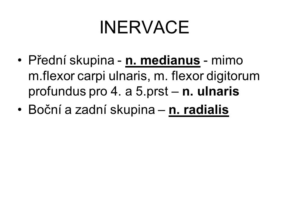INERVACE Přední skupina - n. medianus - mimo m.flexor carpi ulnaris, m. flexor digitorum profundus pro 4. a 5.prst – n. ulnaris.