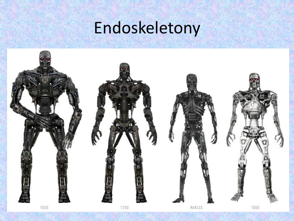 Endoskeletony