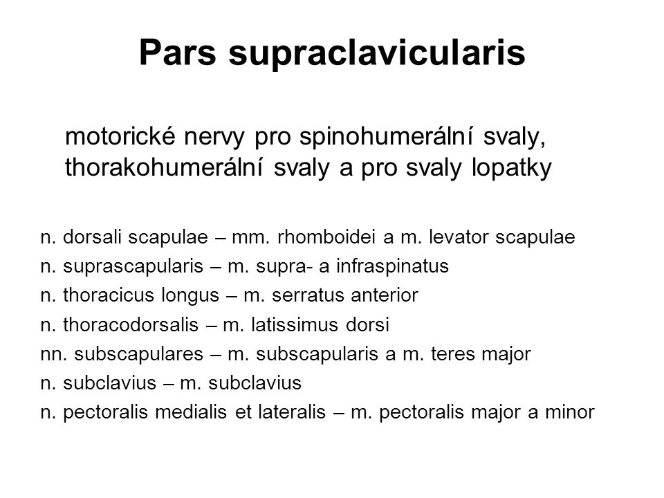 Pars supraclavicularis