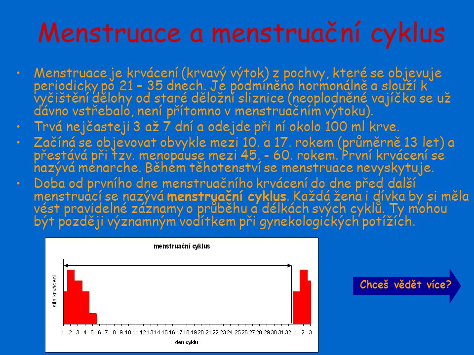 Menstruace a menstruační cyklus