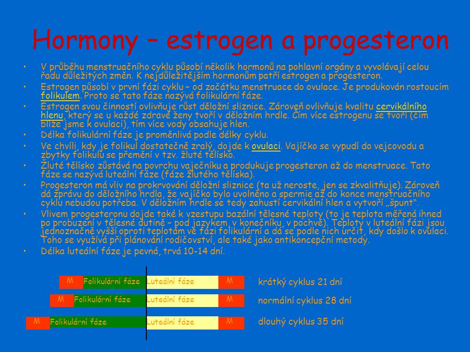 Hormony – estrogen a progesteron