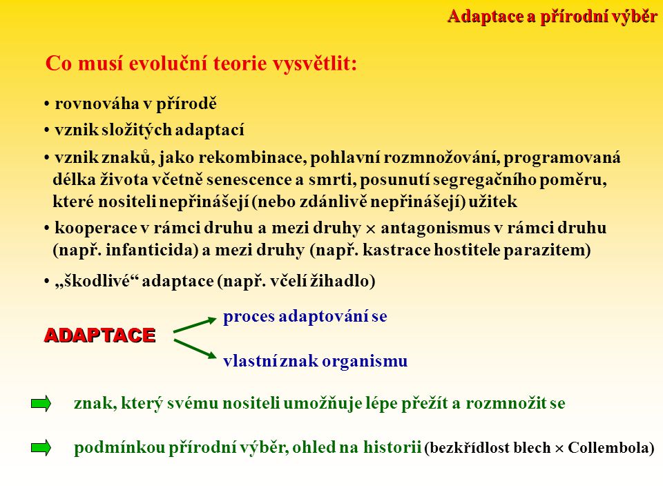 ADAPTACE A PŘÍRODNÍ VÝBĚR - Ppt Stáhnout