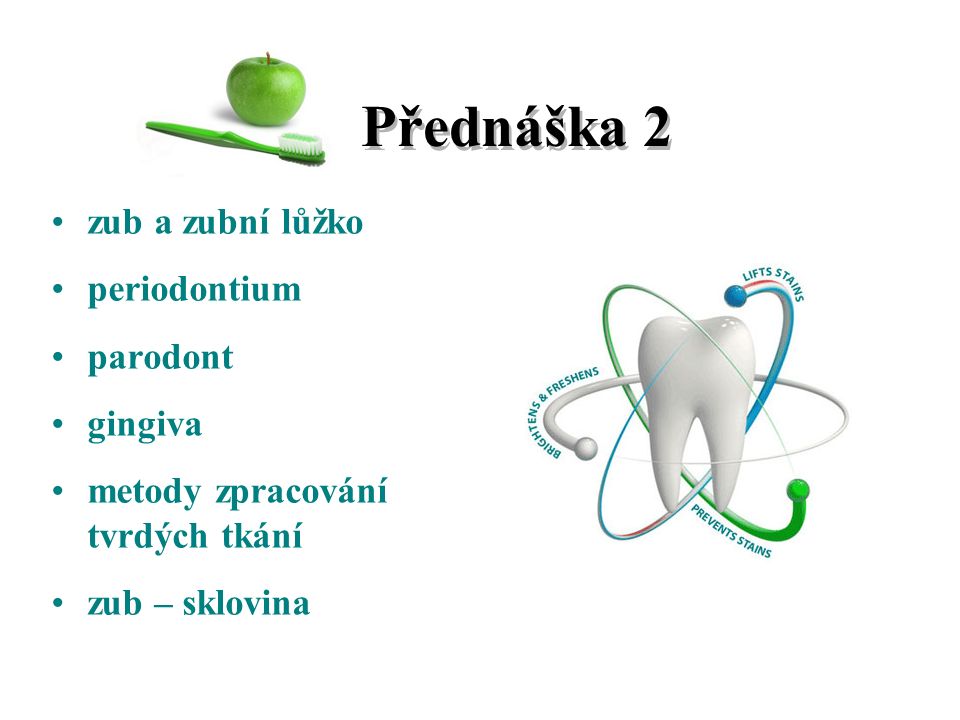 Přednáška 2 zub a zubní lůžko periodontium parodont gingiva